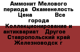 Аммонит Мелового периода. Окаменелость. › Цена ­ 2 800 - Все города Коллекционирование и антиквариат » Другое   . Ставропольский край,Железноводск г.